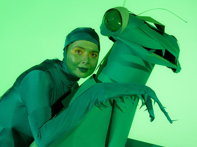 Get weird at BAM stage show <em>Green Porno</em>