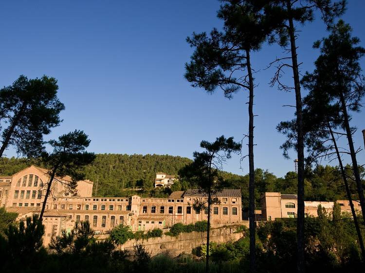 Tarde día 2: La Colonia Vidal