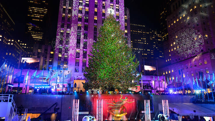 Rockefeller Center Christmas Tree 2013