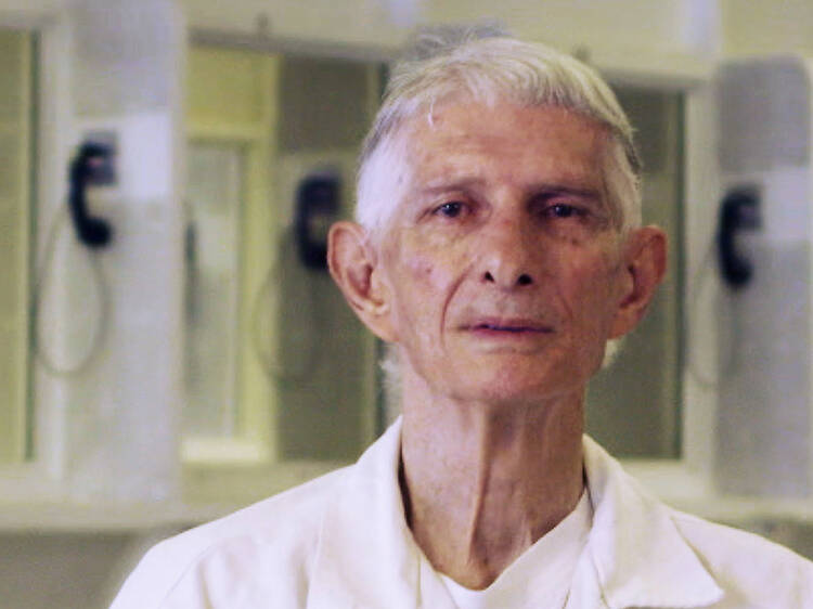 Psychopath Night Psychopath Night