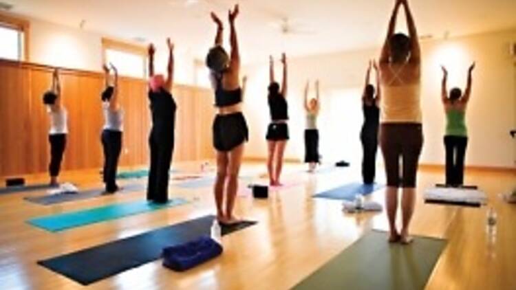 Yogalates Fitness at Tree of Life Yoga & Wellness