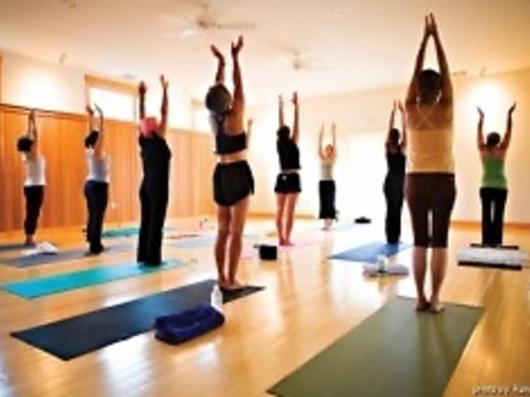 Yogalates Fitness at Tree of Life Yoga & Wellness