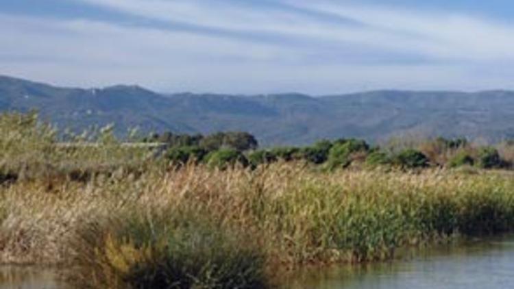  Espai Natural del Delta del Llobregat i el seu Parc Agrari