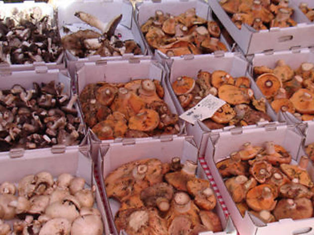 Mercat del Bolet Olvan Mercat del Bolet Olvan