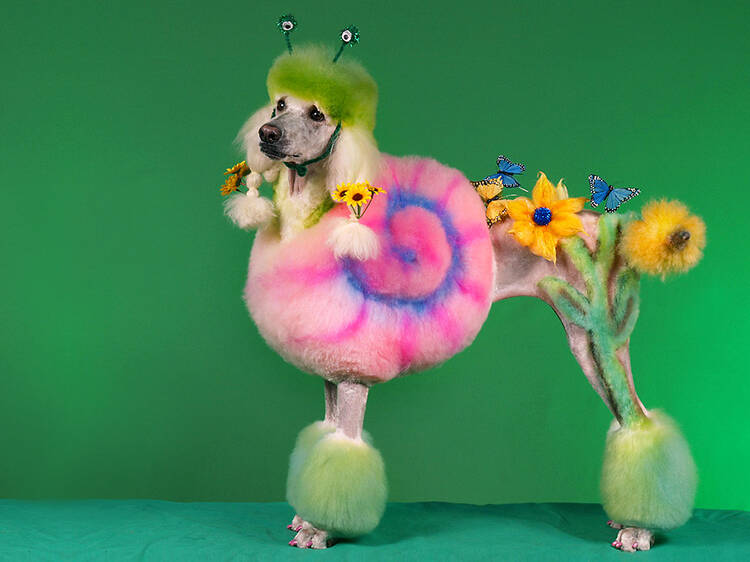 Doggy Styling