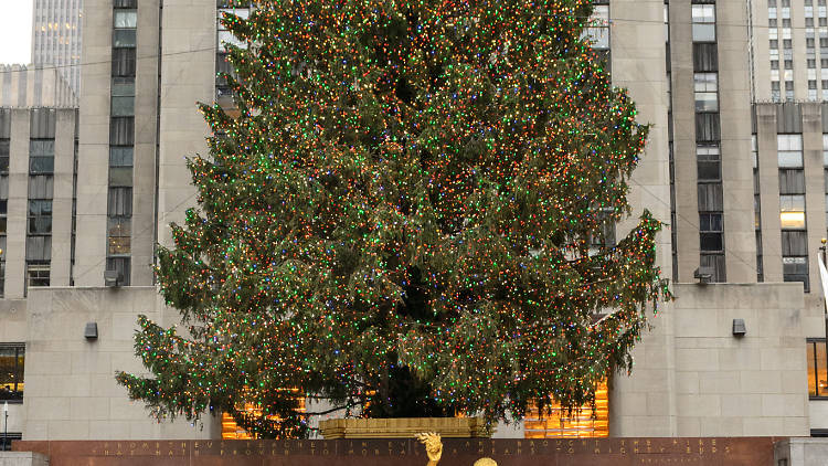 Rockefeller Center Christmas tree and ice skating rink, 2013