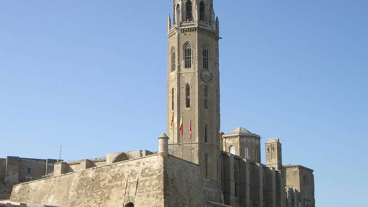 Admireu la Seu Vella i el Castell del Rei - Suda