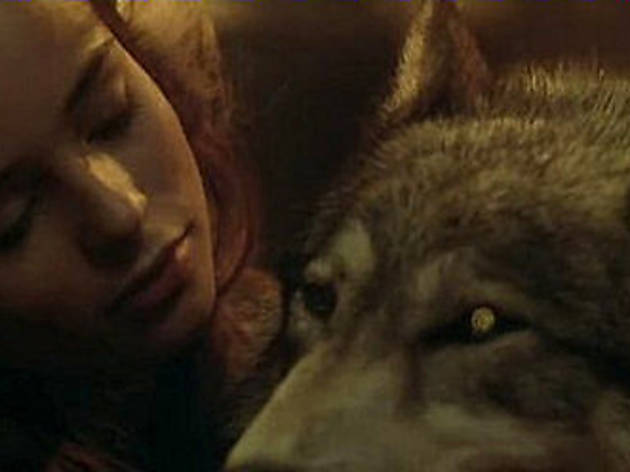 The Company of Wolves The Company of Wolves