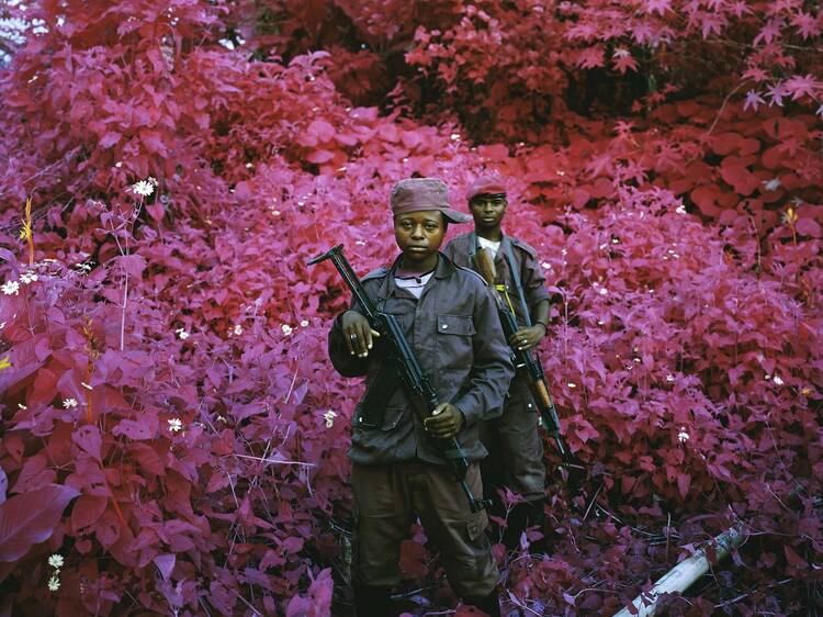 Richard Mosse ('Safe From Harm, North Kivu, eastern Congo', 2012)