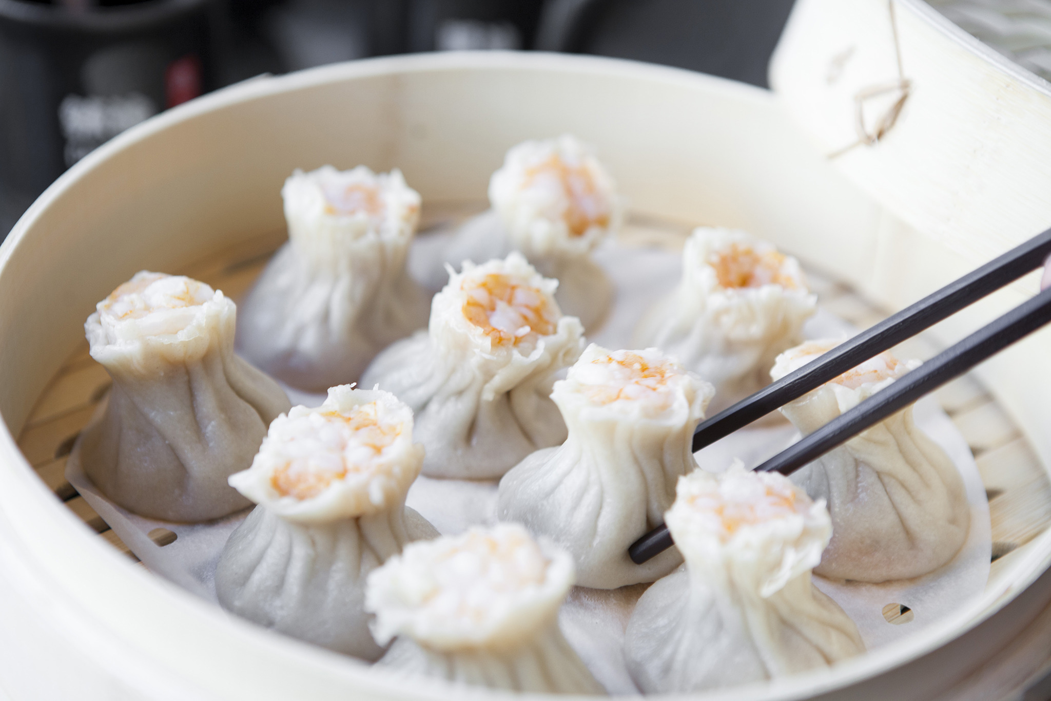 Dim Sum Time at Din Tai Fung in Costa Mesa, California! // MUKBANG!  Dumplings, Soup, and Buns! 