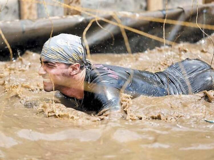 381.ac.ft.sb.upcomingraces.toughmudder.jpg