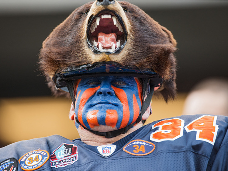Chicago Bears: A guide for the football fan