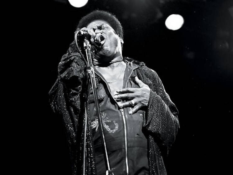 408.mu.mu.ls.charlesbradley2.jpg