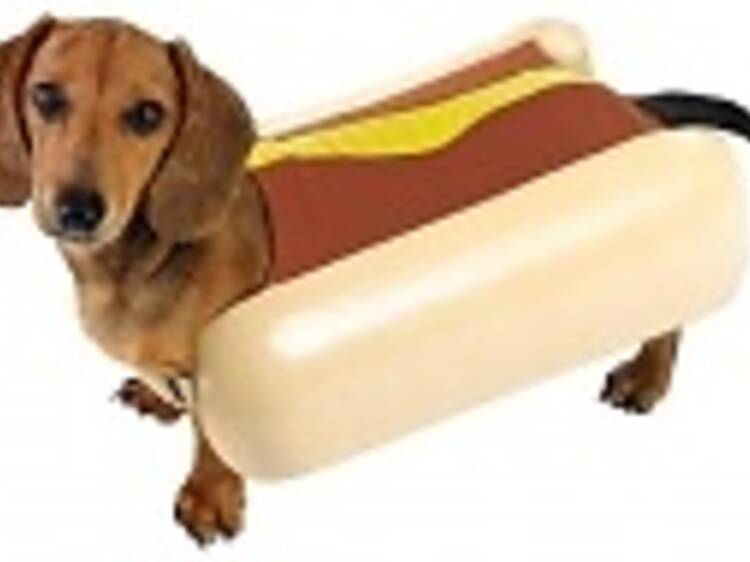 Hot dog apparel and accessories