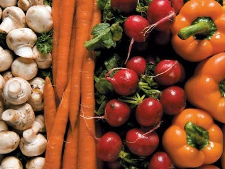 266.eat.csa.opener.jpg