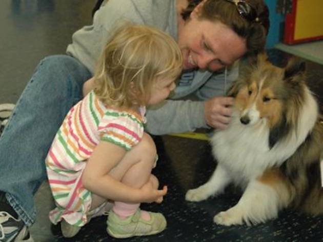 017.fl_.ft_.tock_.op_.dupagechildrensmus.3RD_Thursday.therapydog.jpg 017.fl_.ft_.tock_.op_.dupagechildrensmus.3RD_Thursday.therapydog.jpg