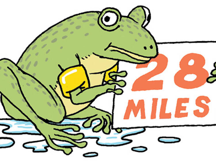 004.tockids.features.creatures11.jpg