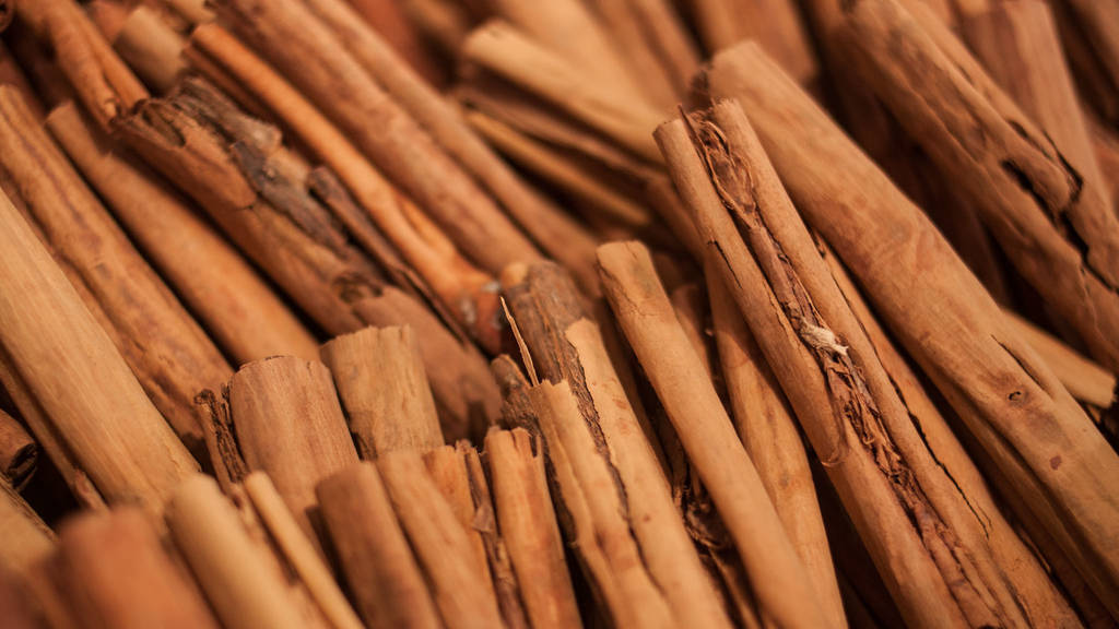 Savory Spice Shop Shopping in Lincoln Square, Chicago