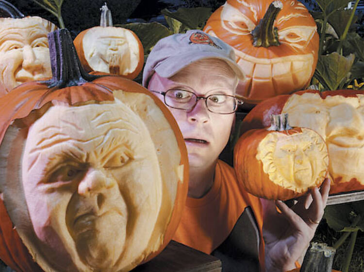 011.td.ft.tock.pumpkinpatches.Adkins.jpg