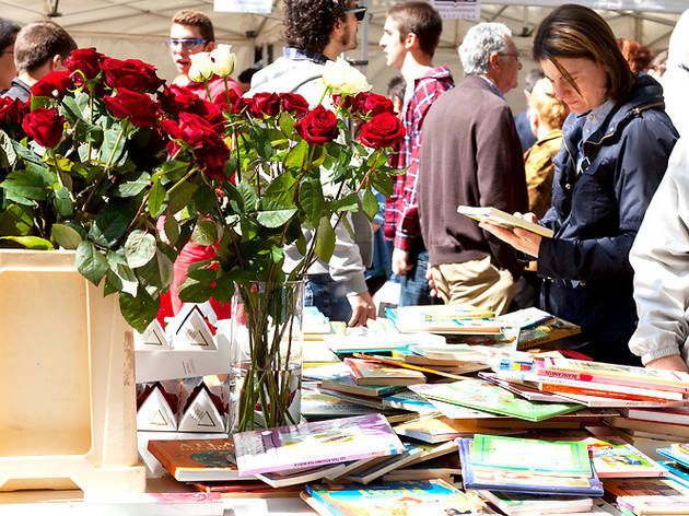 Guía del estudiante: Sant Jordi, un libro y una rosa