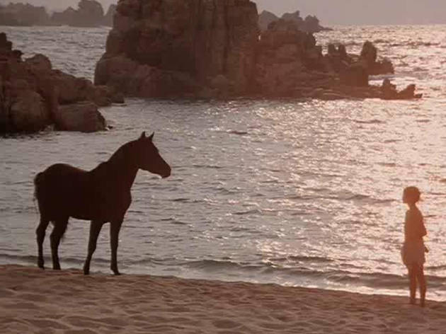 The Black Stallion (1979)