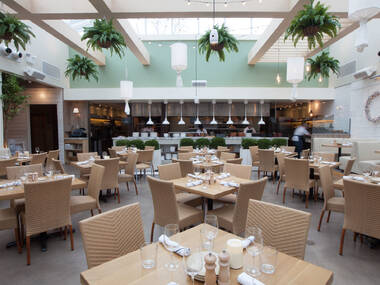 18 Best Lincoln Park Restaurants to Make a Reservation at Tonight