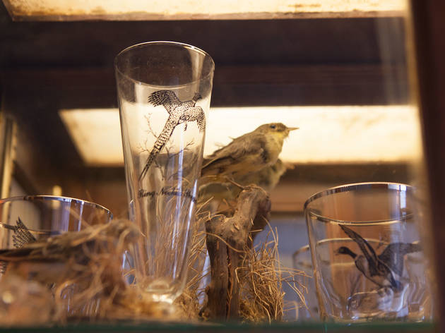 (Photograph: Martha Williams)