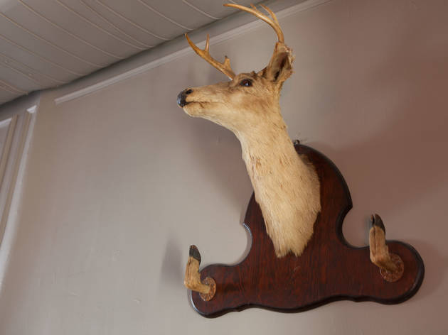 (Photograph: Martha Williams)