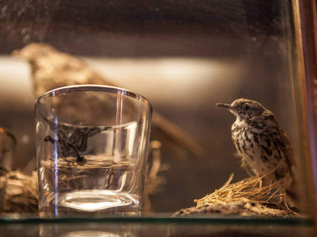 (Photograph: Martha Williams)