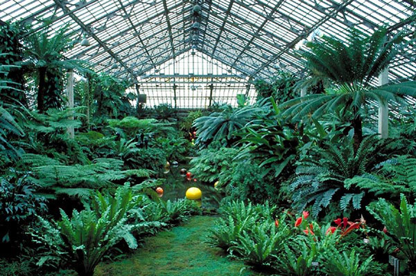 Garfield Park Conservatory | Chicago, IL | Attractions in East Garfield ...