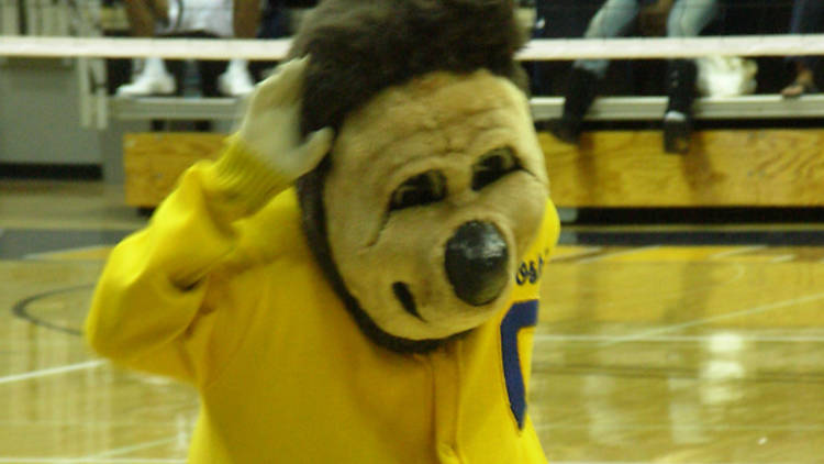 Is Clark the Cub one of the worst bear mascots of all time? (SLIDE