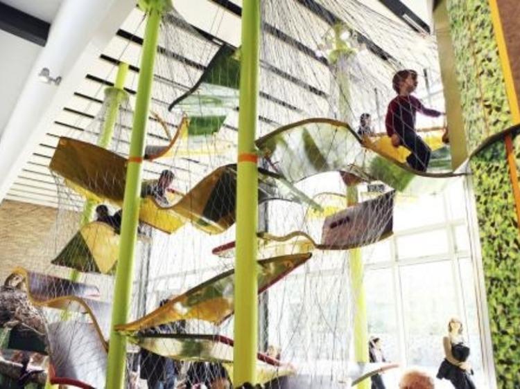 Treetop canopy at Lincoln Park Zoo