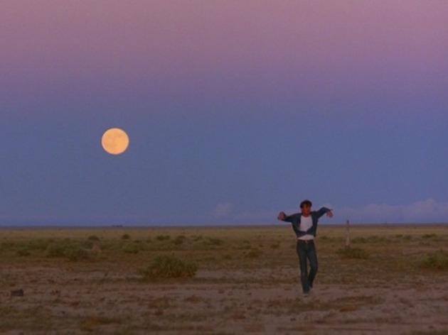 La Balade sauvage (1973) La Balade sauvage (1973)