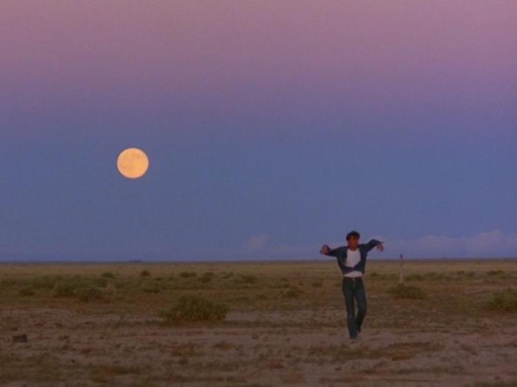 La Balade sauvage (1973)