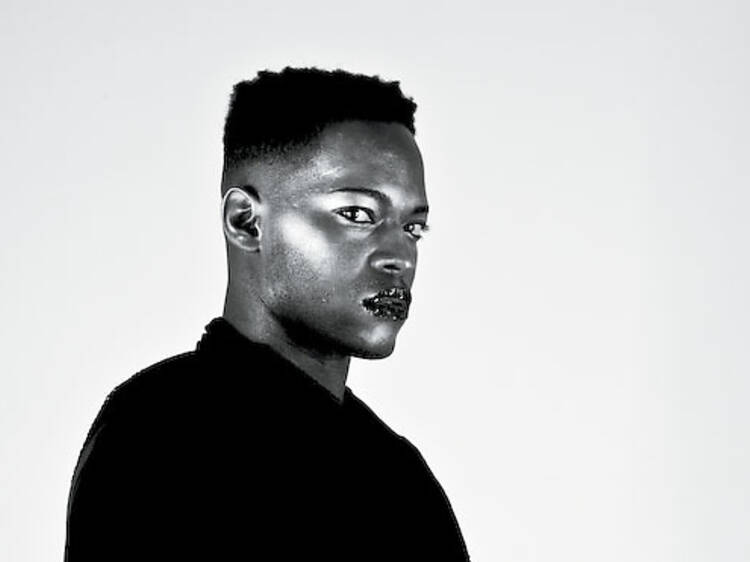 372.mu.mu.pv.zebrakatz.jpg