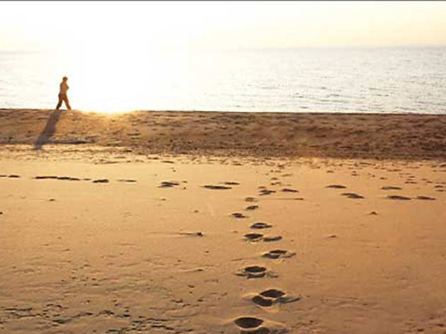 67.ft.beach1.jpg 67.ft.beach1.jpg