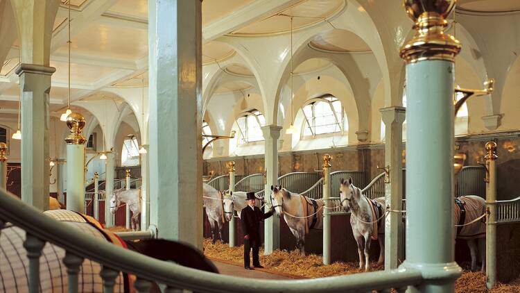 The Royal Mews