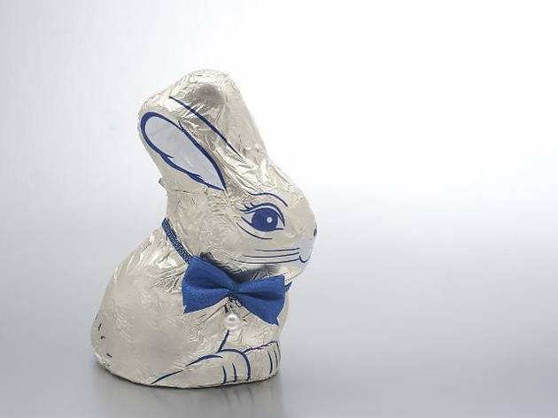 chi_ttd_easterbunny_21914 chi_ttd_easterbunny_21914