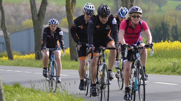 © The Horse Rangers