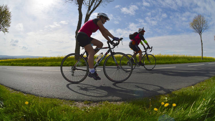 © The Horse Rangers