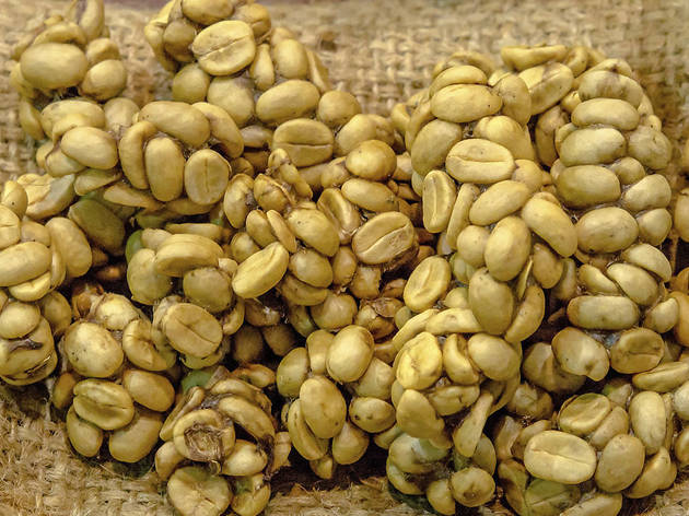 Kopi Luwak Kopi Luwak