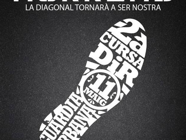 cursa dir cursa dir