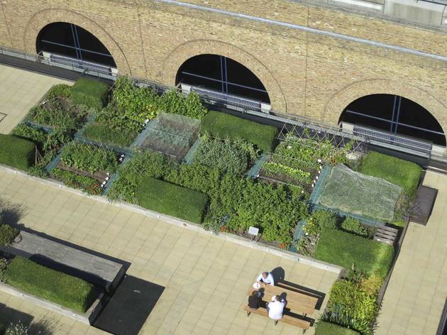 Open Garden Squares Weekend: The Nomura Building Roof Garden Open Garden Squares Weekend: The Nomura Building Roof Garden