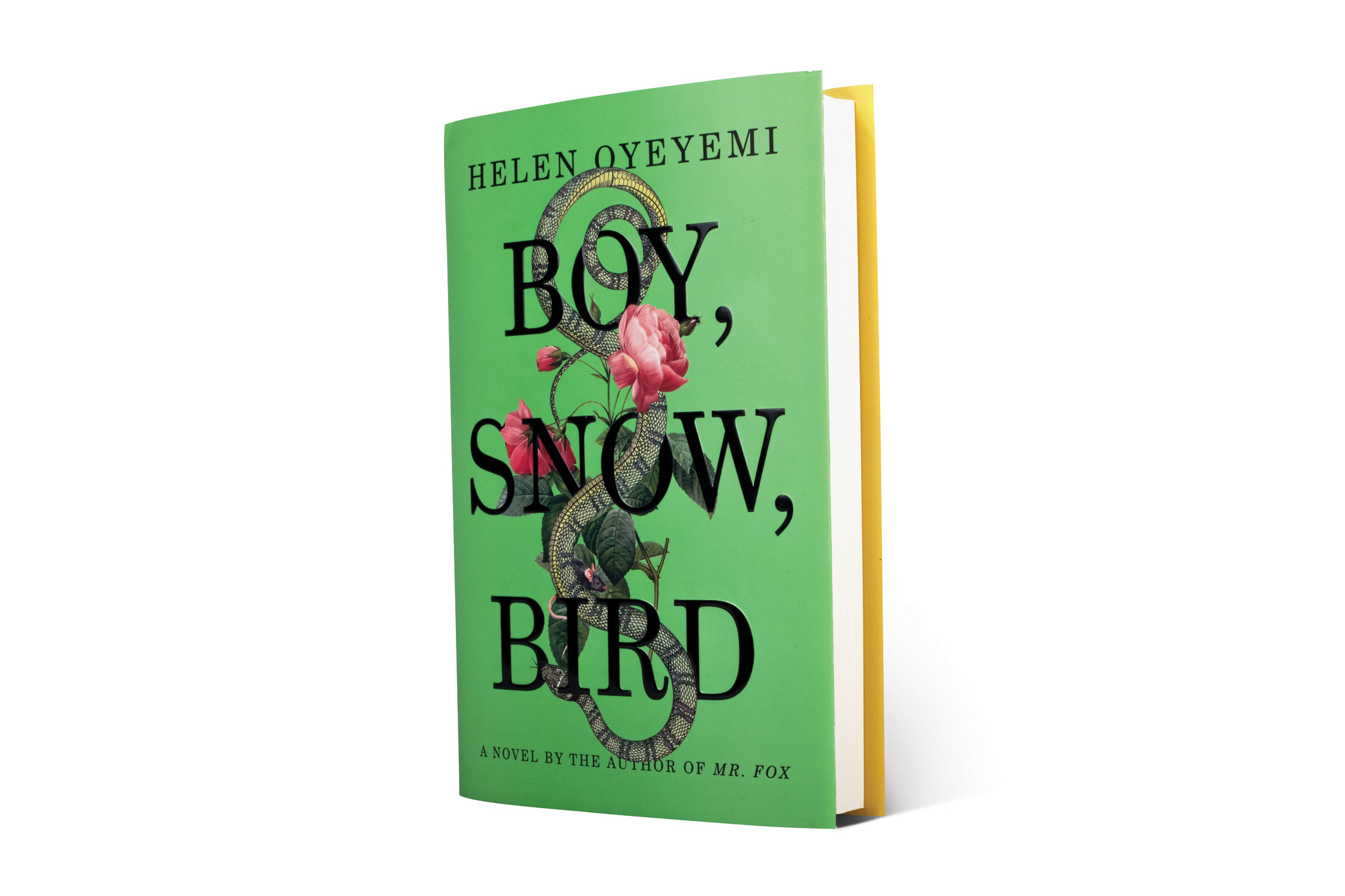 Book review Boy, Snow, Bird by Helen Oyeyemi
