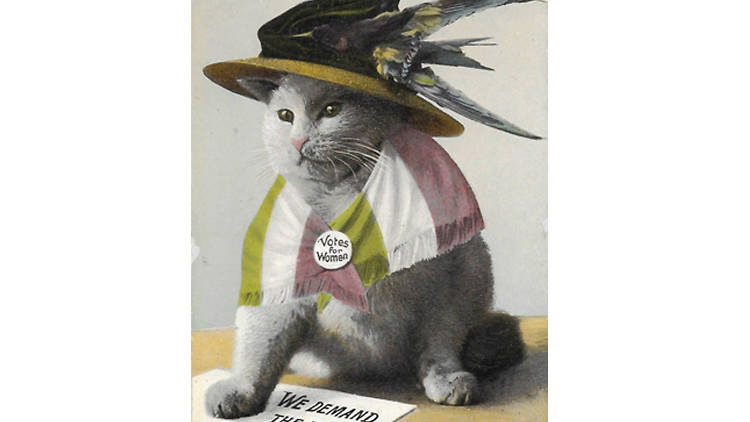 A suffragette postcard from 1910