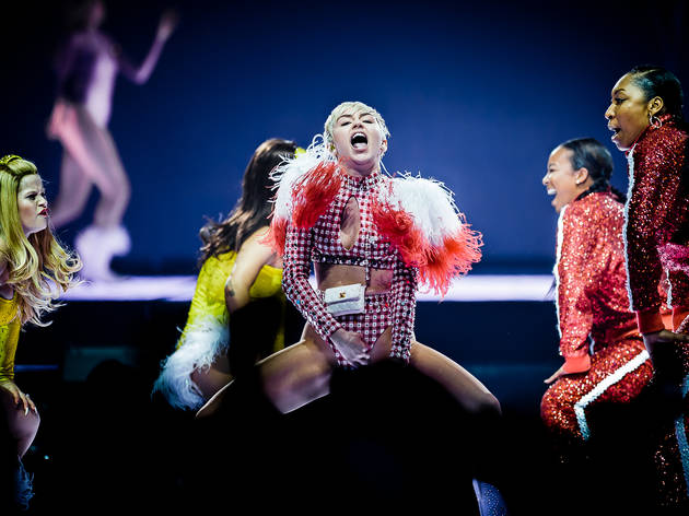 (Photographer: cousindaniel.com)