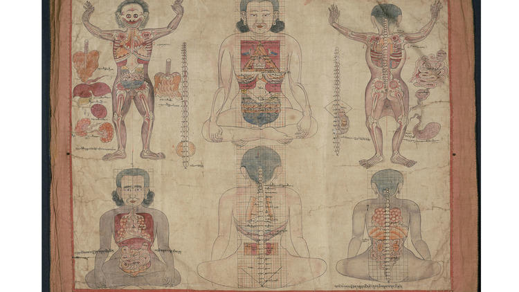"Bodies in Balance: The Art of Tibetan Medicine" at the Rubin Museum of Art