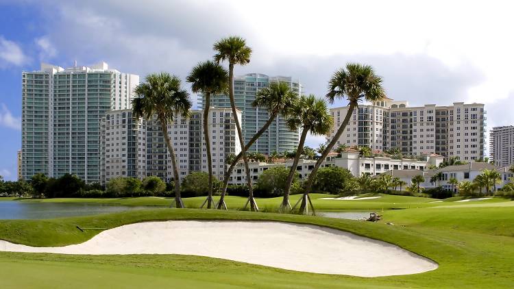 Miami Beach Golf Club, Sports and fitness, Miami