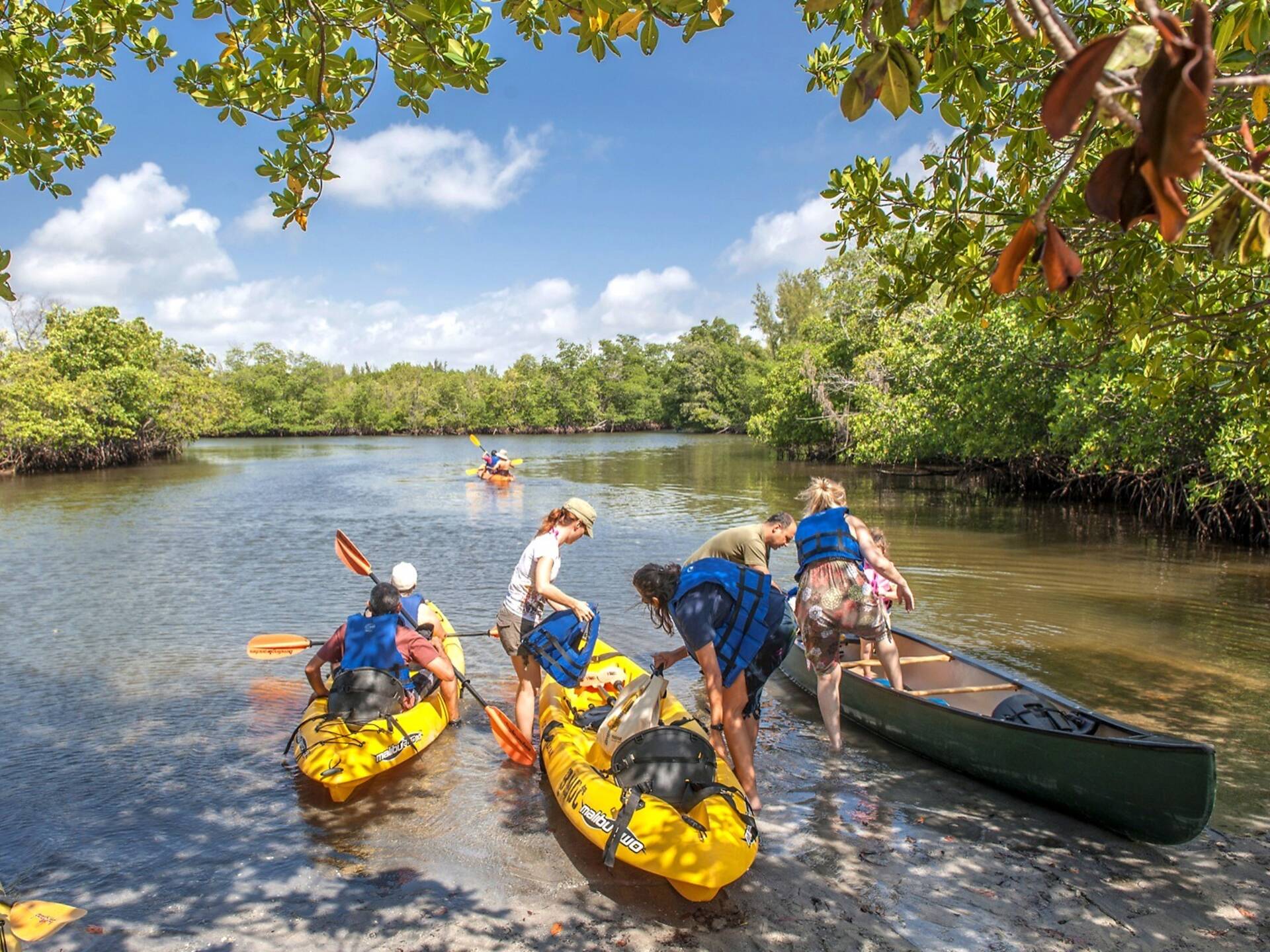 17 Best Parks in Miami for Fresh Air and Outdoor Fun