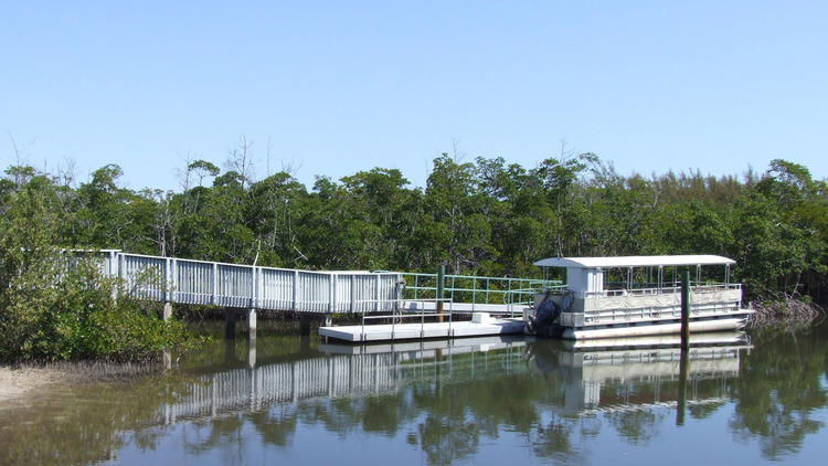 Anne Kolb Nature Center, Wildlife and attractions, Hollywood, Miami